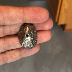 Sterling Silver, Limpet Shell Pendant